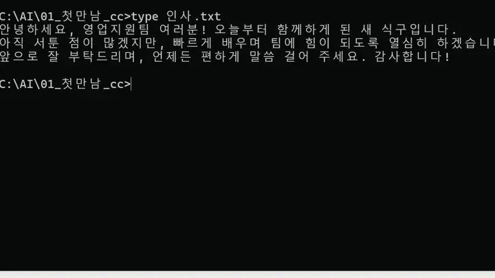 1편 영상: Claude Code가 만든 인사.txt를 명령 창에서 열어 본 화면